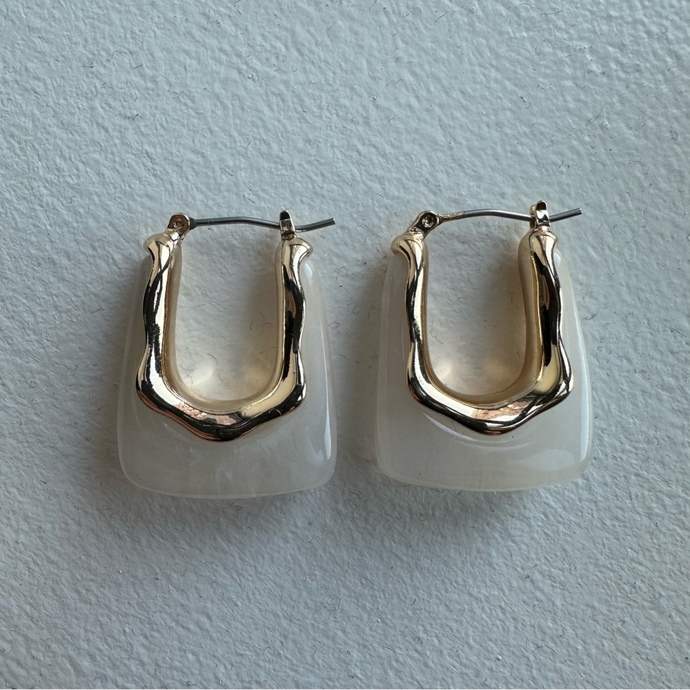 Anthropologie Resin Square Hoop Earrings